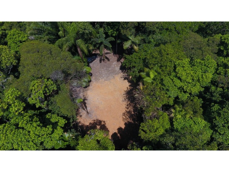 Lot 19 Thornton Pk Drive Forest Creek, Daintree QLD 4873