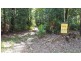 Lot 19 Thornton Pk Drive Forest Creek, Daintree QLD 4873