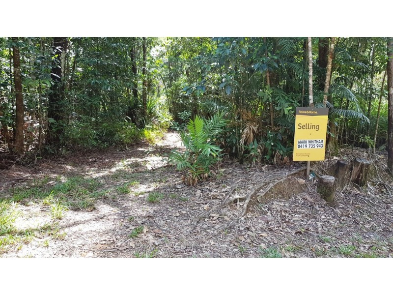 Lot 19 Thornton Pk Drive Forest Creek, Daintree QLD 4873