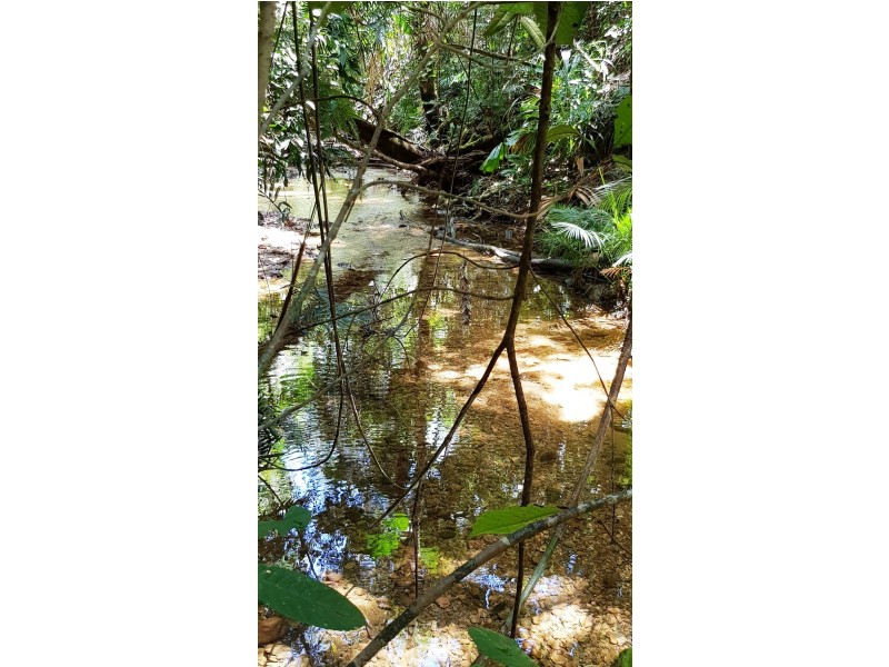 Lot 19 Thornton Pk Drive Forest Creek, Daintree QLD 4873