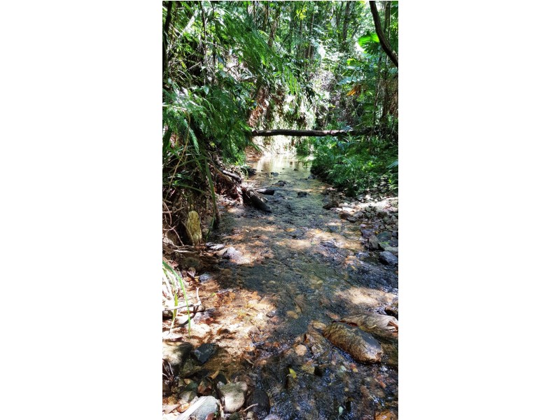 Lot 19 Thornton Pk Drive Forest Creek, Daintree QLD 4873