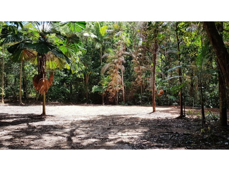 Lot 19 Thornton Pk Drive Forest Creek, Daintree QLD 4873