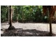 Lot 19 Thornton Pk Drive Forest Creek, Daintree QLD 4873