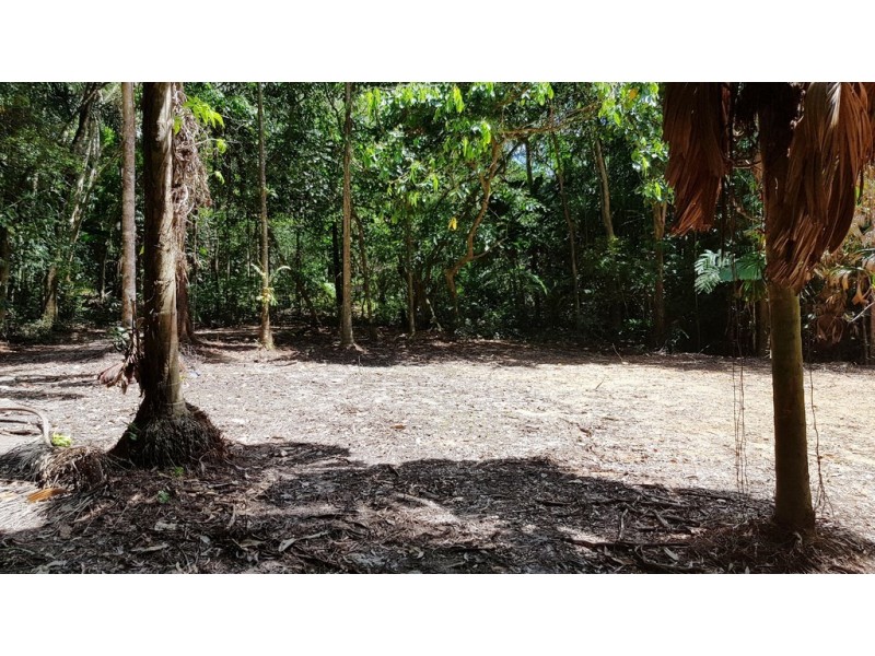 Lot 19 Thornton Pk Drive Forest Creek, Daintree QLD 4873