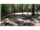 Lot 19 Thornton Pk Drive Forest Creek, Daintree QLD 4873