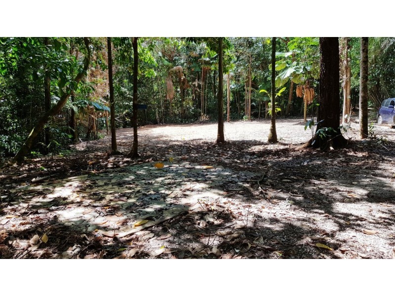 Lot 19 Thornton Pk Drive Forest Creek, Daintree QLD 4873