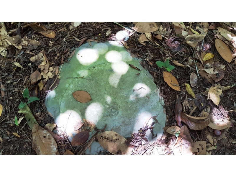 Lot 19 Thornton Pk Drive Forest Creek, Daintree QLD 4873