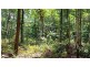 Lot 19 Thornton Pk Drive Forest Creek, Daintree QLD 4873