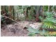 Lot 19 Thornton Pk Drive Forest Creek, Daintree QLD 4873
