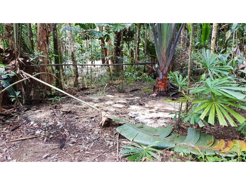 Lot 19 Thornton Pk Drive Forest Creek, Daintree QLD 4873