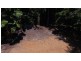 Lot 19 Thornton Pk Drive Forest Creek, Daintree QLD 4873