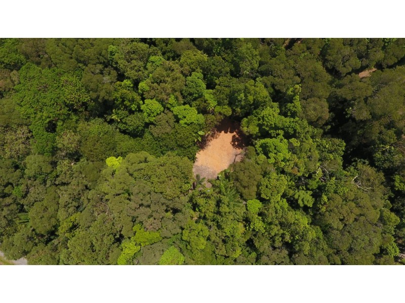 Lot 19 Thornton Pk Drive Forest Creek, Daintree QLD 4873