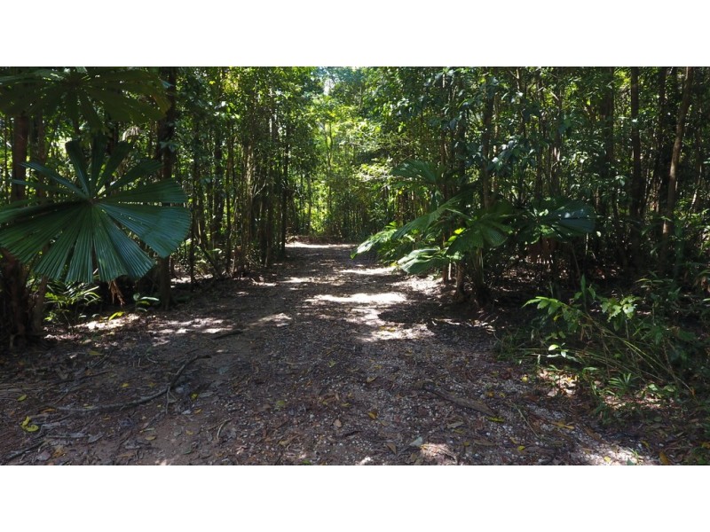 Lot 19 Thornton Pk Drive Forest Creek, Daintree QLD 4873