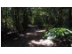 Lot 19 Thornton Pk Drive Forest Creek, Daintree QLD 4873