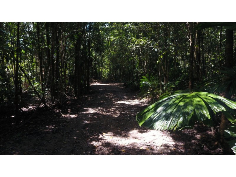 Lot 19 Thornton Pk Drive Forest Creek, Daintree QLD 4873