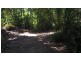Lot 19 Thornton Pk Drive Forest Creek, Daintree QLD 4873