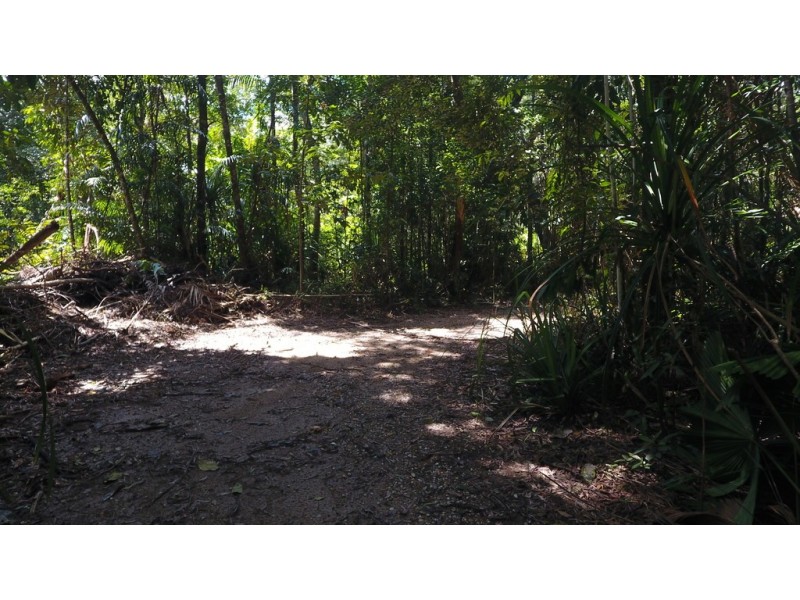 Lot 19 Thornton Pk Drive Forest Creek, Daintree QLD 4873