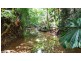 Lot 19 Thornton Pk Drive Forest Creek, Daintree QLD 4873