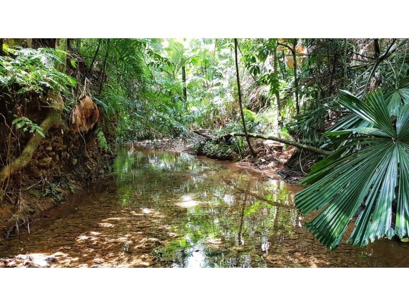 Lot 19 Thornton Pk Drive Forest Creek, Daintree QLD 4873