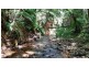 Lot 19 Thornton Pk Drive Forest Creek, Daintree QLD 4873