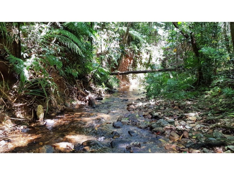 Lot 19 Thornton Pk Drive Forest Creek, Daintree QLD 4873
