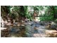 Lot 19 Thornton Pk Drive Forest Creek, Daintree QLD 4873