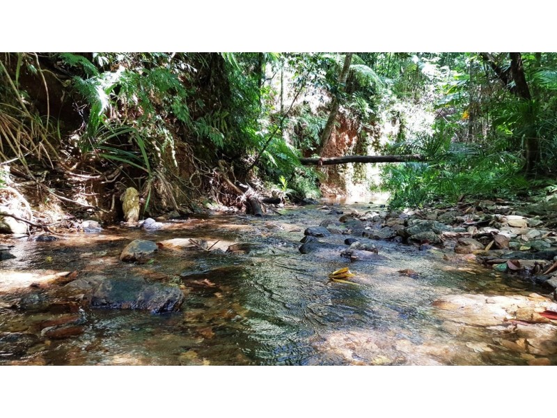 Lot 19 Thornton Pk Drive Forest Creek, Daintree QLD 4873