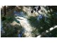 Lot 19 Thornton Pk Drive Forest Creek, Daintree QLD 4873