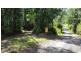 Lot 19 Thornton Pk Drive Forest Creek, Daintree QLD 4873
