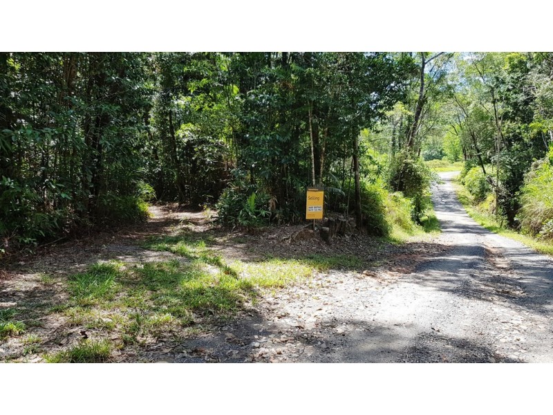 Lot 19 Thornton Pk Drive Forest Creek, Daintree QLD 4873