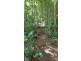 4 Buchanan Ck Rd, Daintree QLD 4873