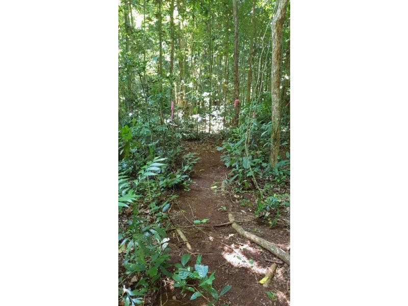 4 Buchanan Ck Rd, Daintree QLD 4873