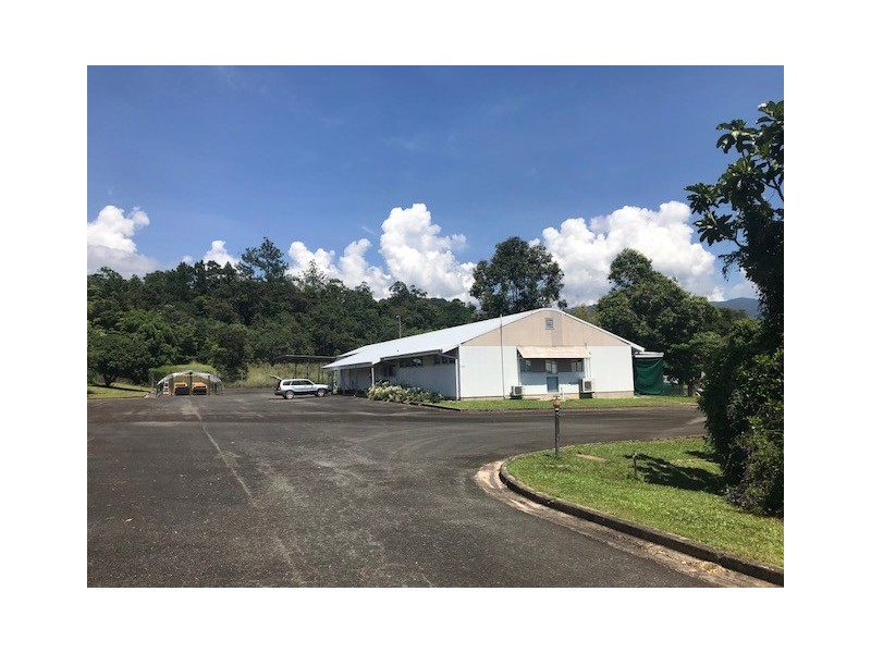 51 PRINGLE ST, Mossman QLD 4873