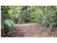 Lot 8 Buchanan Creek Road, Daintree QLD 4873
