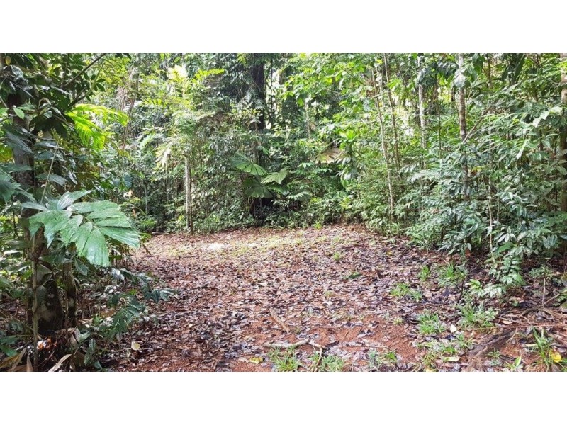 Lot 8 Buchanan Creek Road, Daintree QLD 4873