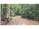 Lot 8 Buchanan Creek Road, Daintree QLD 4873