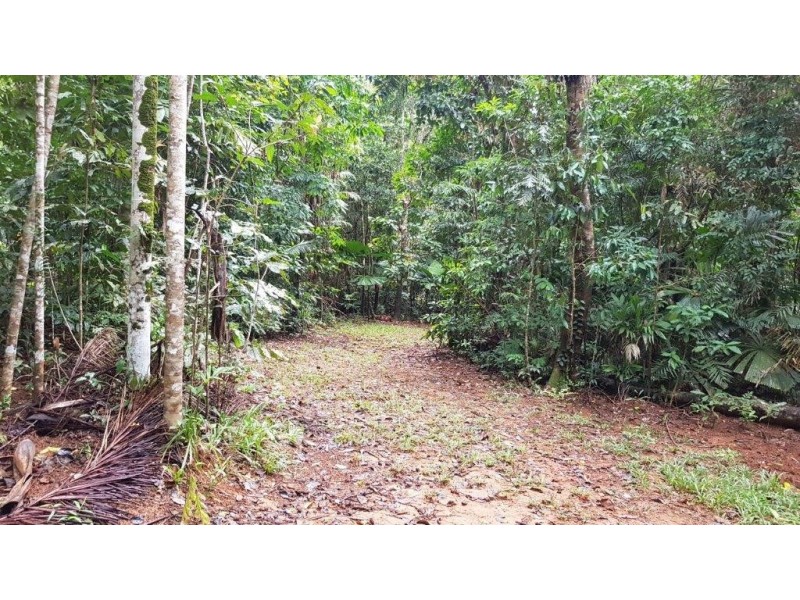 Lot 8 Buchanan Creek Road, Daintree QLD 4873