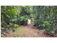 Lot 8 Buchanan Creek Road, Daintree QLD 4873