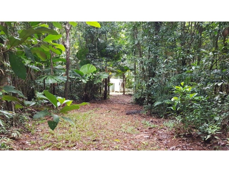 Lot 8 Buchanan Creek Road, Daintree QLD 4873