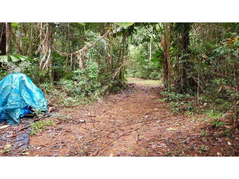 Lot 8 Buchanan Creek Road, Daintree QLD 4873