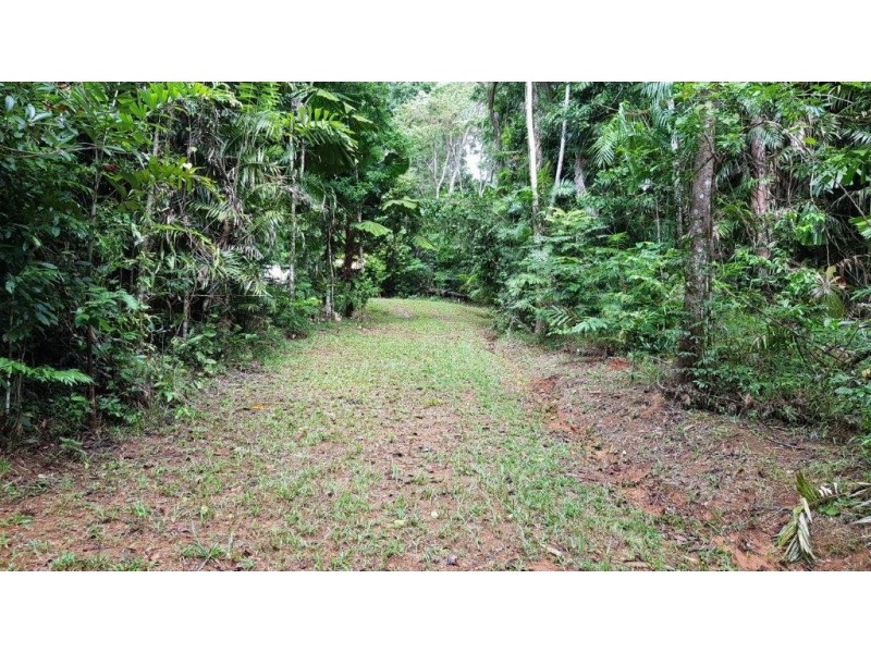 Lot 8 Buchanan Creek Road, Daintree QLD 4873