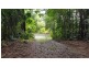 Lot 8 Buchanan Creek Road, Daintree QLD 4873