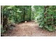 Lot 8 Buchanan Creek Road, Daintree QLD 4873