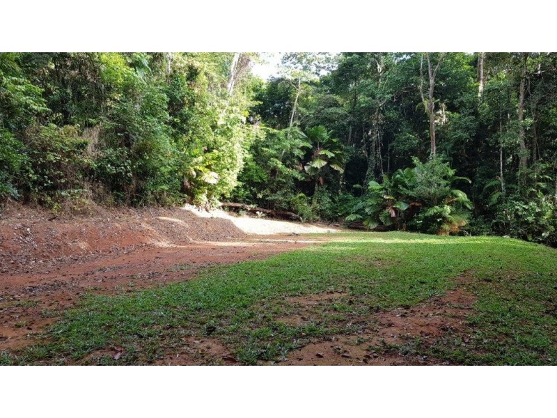 Lot 8 Buchanan Creek Road, Daintree QLD 4873