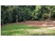 Lot 8 Buchanan Creek Road, Daintree QLD 4873