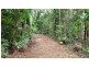 Lot 8 Buchanan Creek Road, Daintree QLD 4873