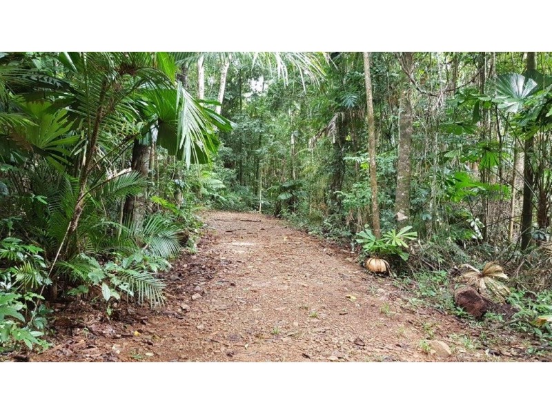 Lot 8 Buchanan Creek Road, Daintree QLD 4873