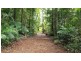 Lot 8 Buchanan Creek Road, Daintree QLD 4873