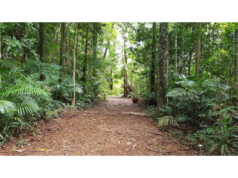 Lot 8 Buchanan Creek Road, Daintree QLD 4873