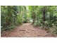 Lot 8 Buchanan Creek Road, Daintree QLD 4873